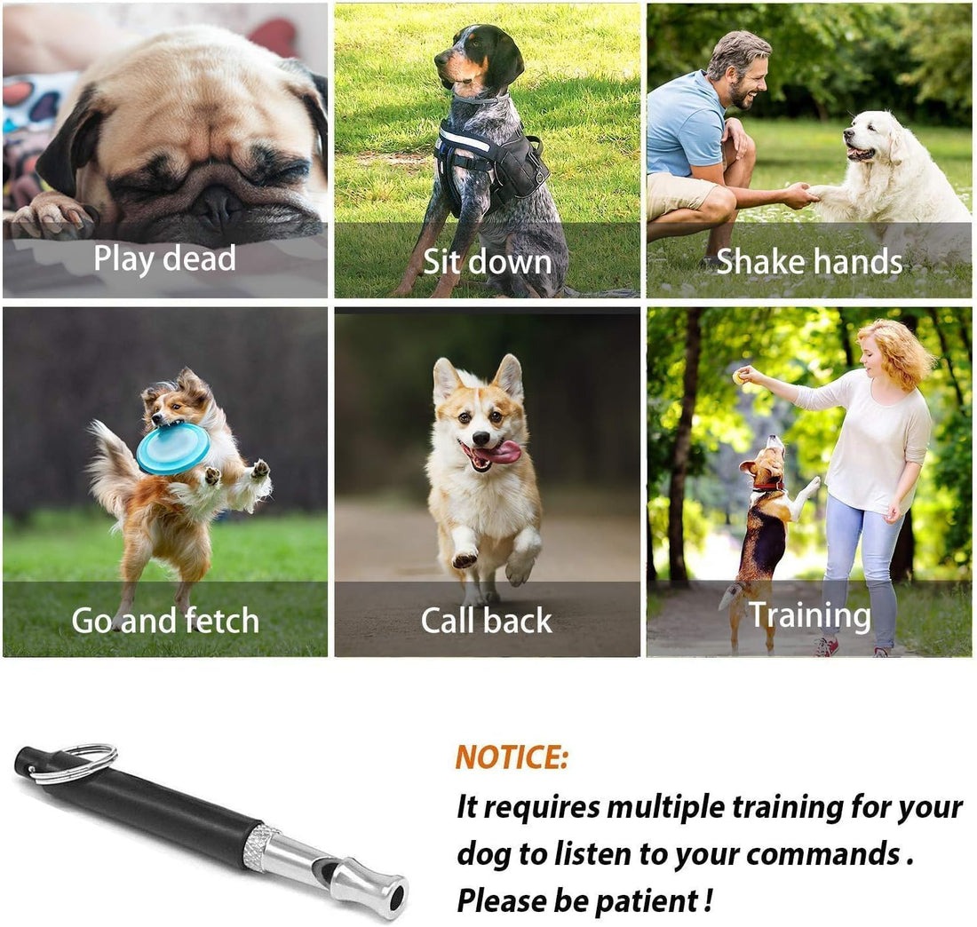 Dog Whistle 2 Pack Adjustable Ultrasonic Silent for Barking & Recall