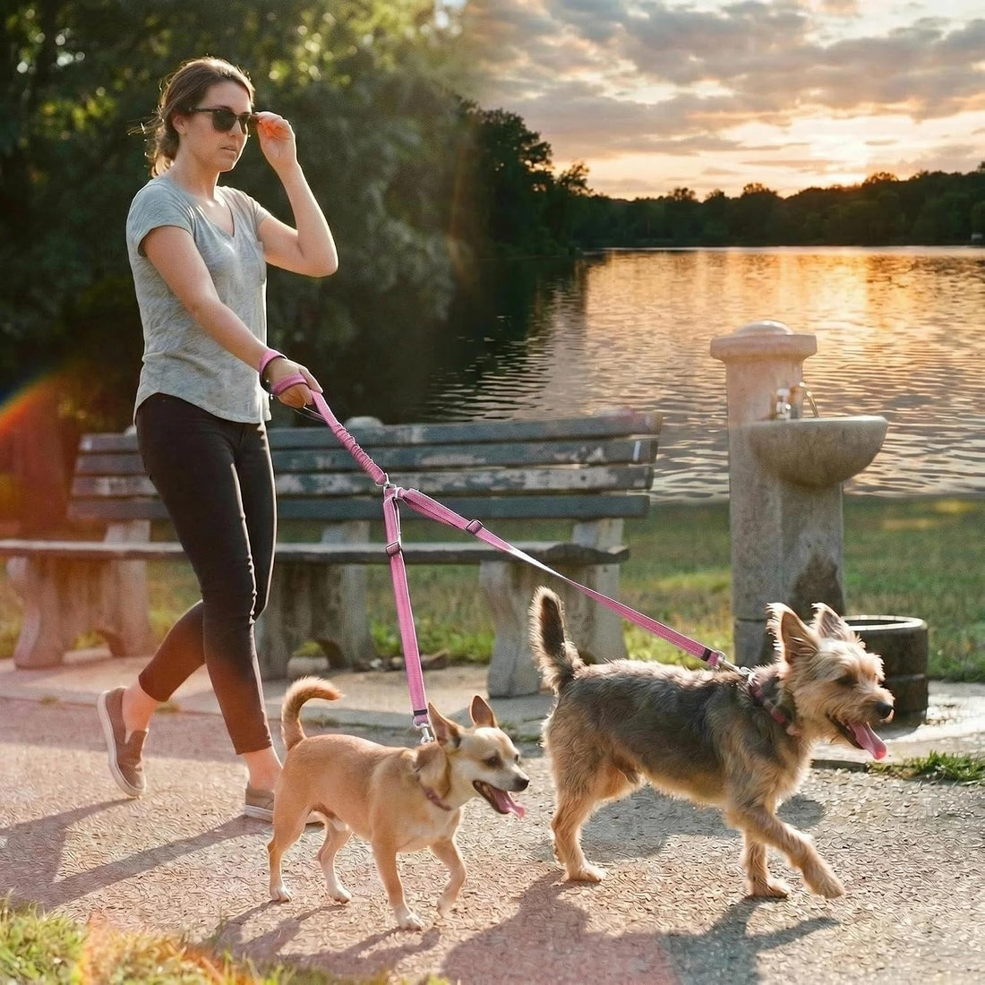 Double Leash for Two Dogs, No Tangle Bungee Dog Leash