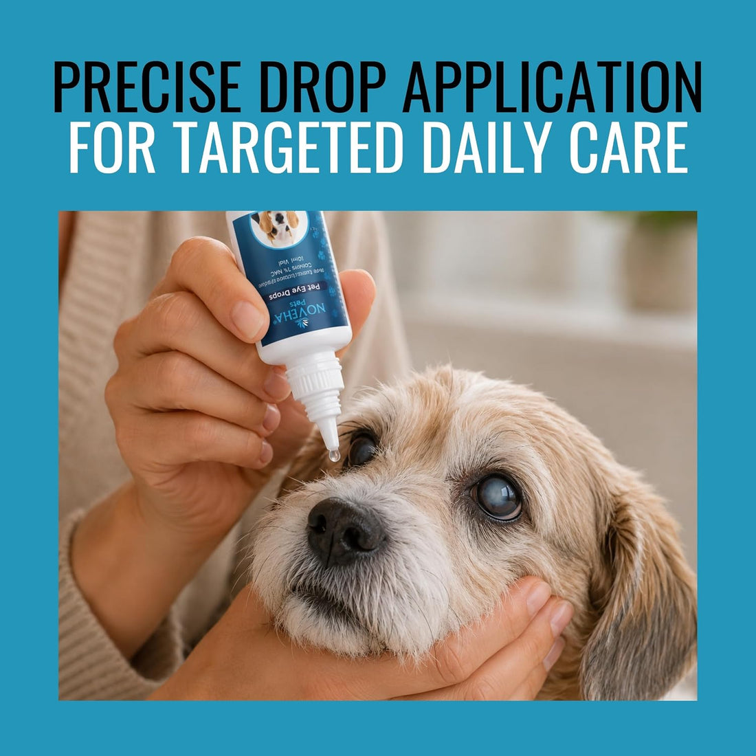 NOVEHA Pet Drops | Advanced Lanosterol Solution + NAC (2 x 10 mL)