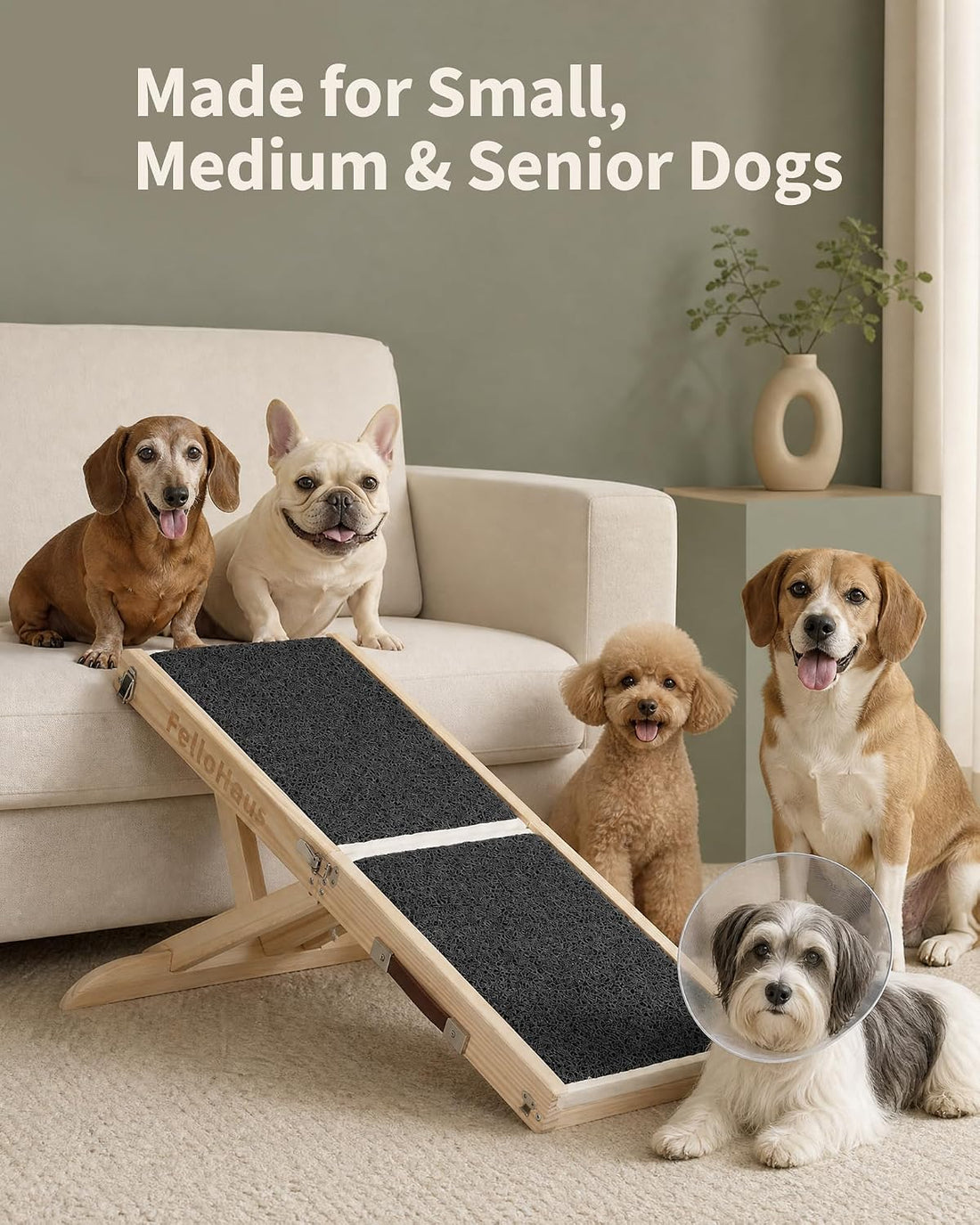 Dog Ramp for Small Dogs, 5 Adjustable Heights, Upgraded Anti-Slip
