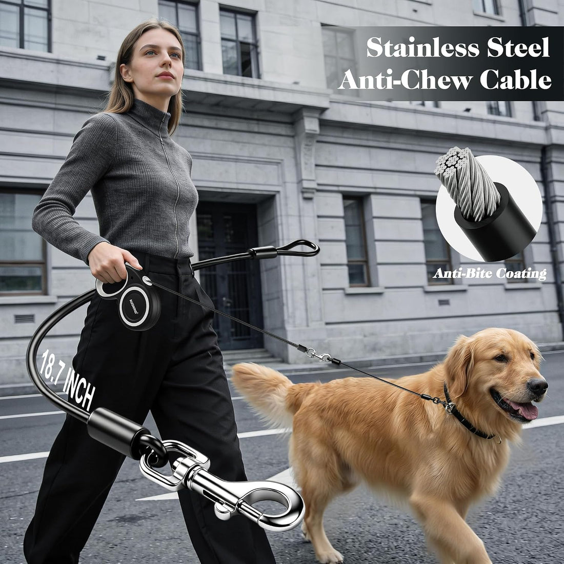 Retractable Dog Leash with Stainless Steel Anti-Chew Cable for Small
