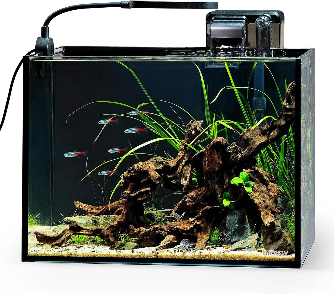 NICREW 2.5 Gallon Nano Nature Aquarium Kit Betta Fish Tank, Complete