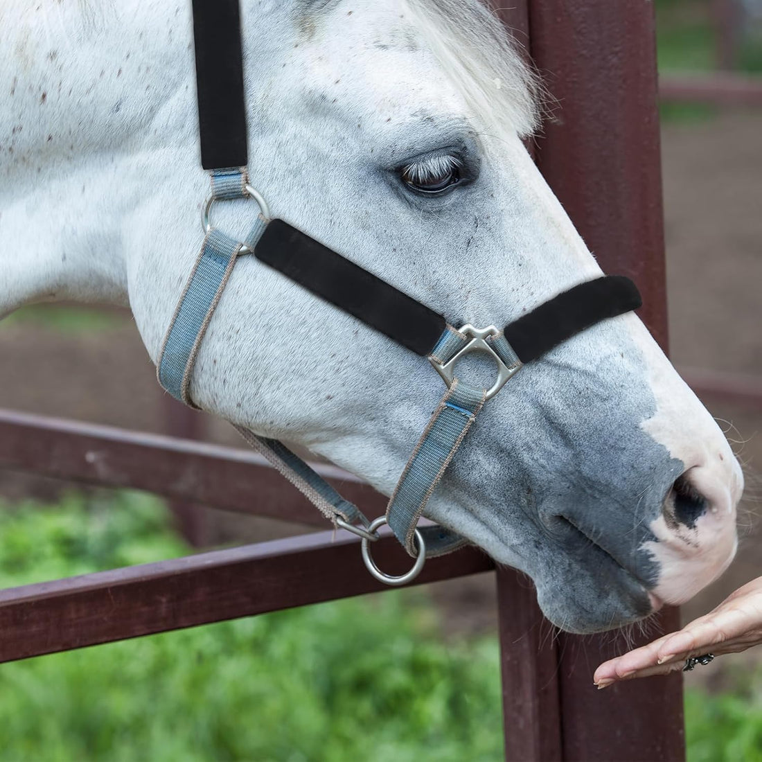8 Pcs Fleece Halter Covers for Horse Halter and Bridle