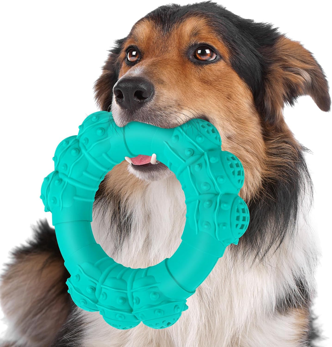Indestructible Dog Chews - Super Duty Chew Toys for Aggressive Dogs