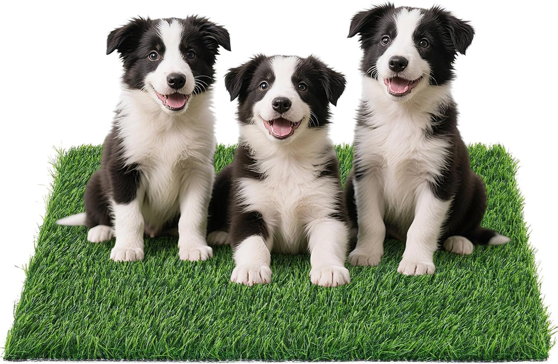 Replacement Artificial Grass Pee Pads for Dogs Potty Training to Pee