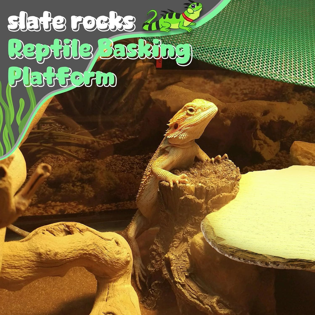Shinylin 1 Pack Reptile Basking Platform Tortoise Slate Rock
