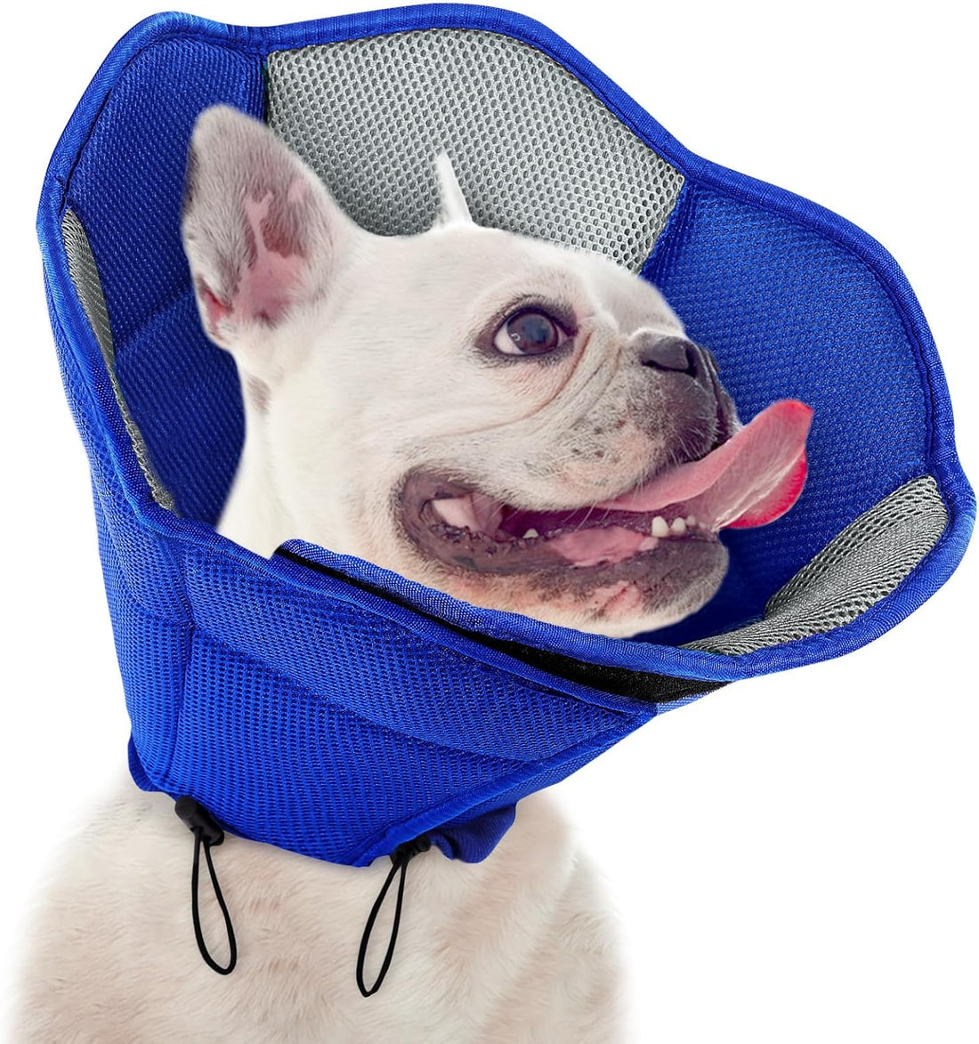 Dog Cone Soft Cone for Dogs to Stop Licking