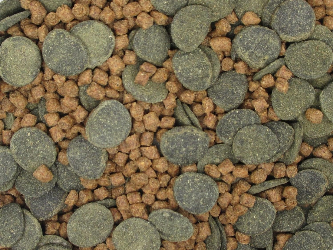 Micro Mix - Sinking Blended Diet for Snails