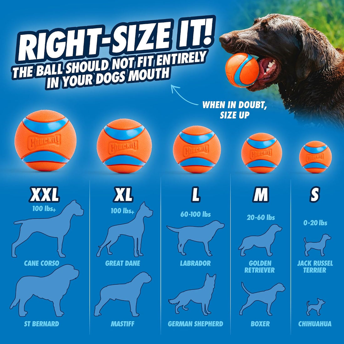 Chuckit! Classic 26M Dog Ball Launcher, 26in