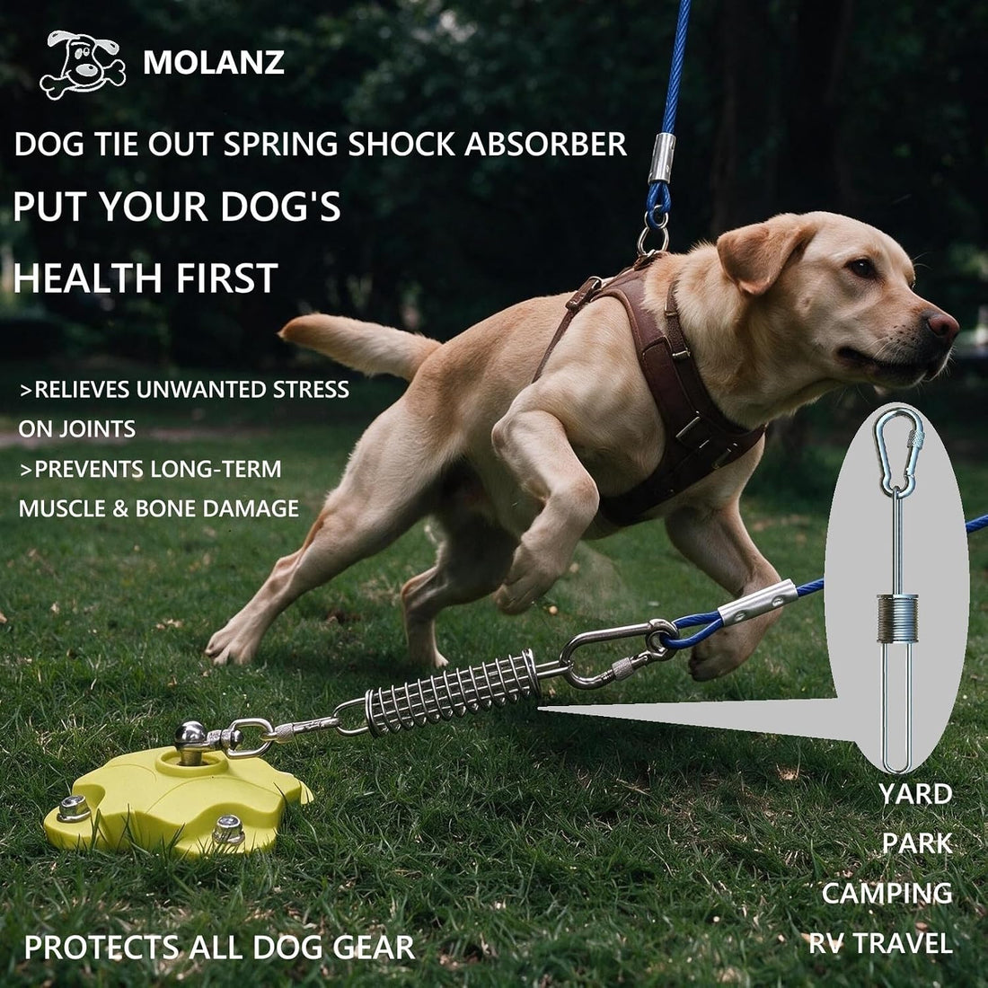 MOLANZ Dog Tie Out Spring Shock Absorber, Dog Lead