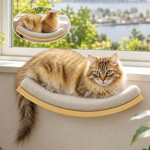 Cat Wall Shelf with Curved Hammock Bed