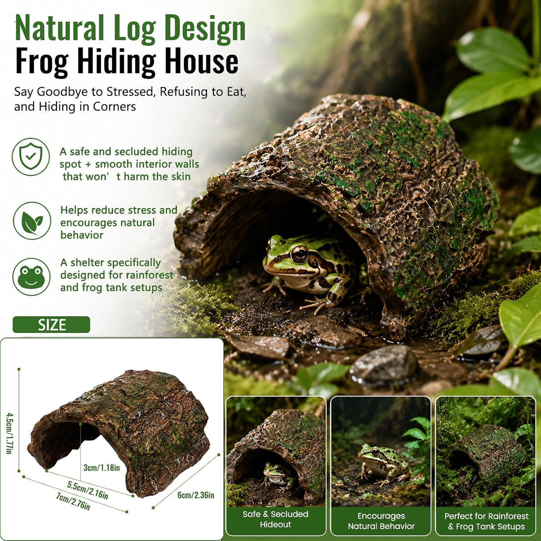 Frog Tank Accessories Set – Complete Tree Frog Habitat Kit