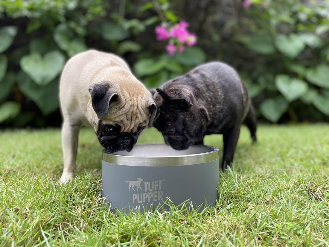 Tuff Pupper 100 oz Heavy Duty Insulated Stainless Steel Dog Bowl