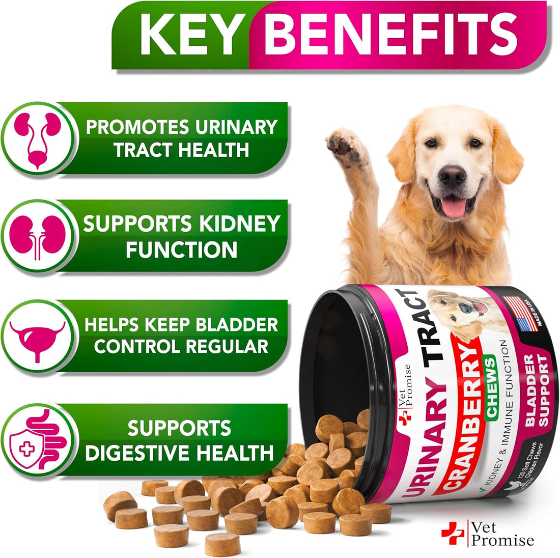 Dog Multivitamin Chewable with Glucosamine