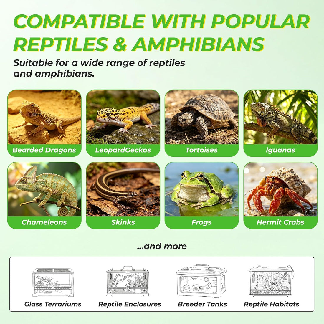 LUCKY HERP Reptile Heat Lamp Bulbs 100W