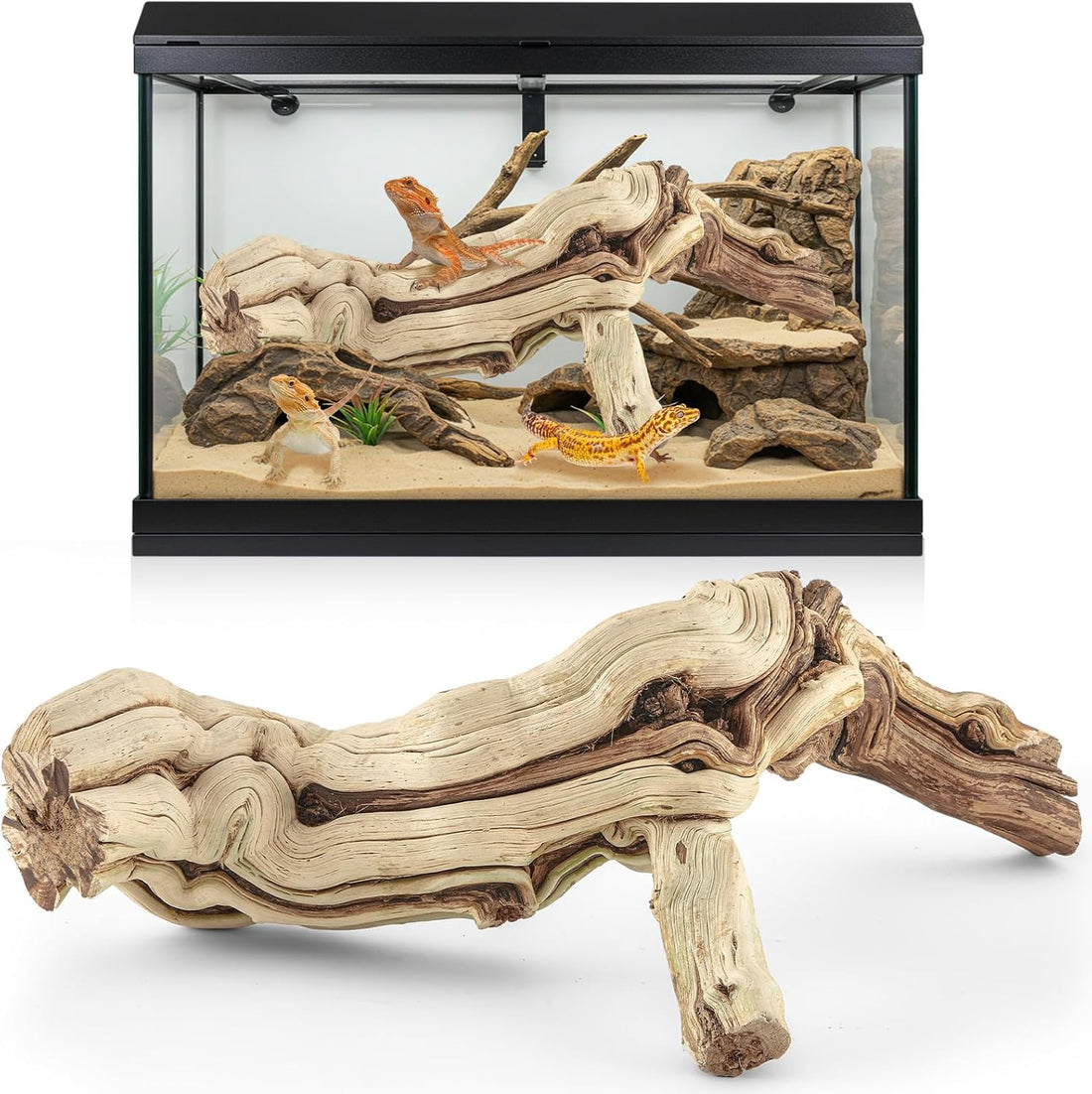Janinka 14-17" Large Reptile Driftwood Branch for Bearded Dragon Gecko