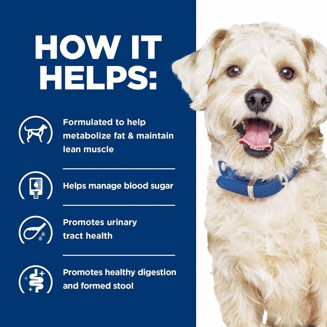 Hill's Prescription Diet w/d Multi-Benefit Dry Dog Food