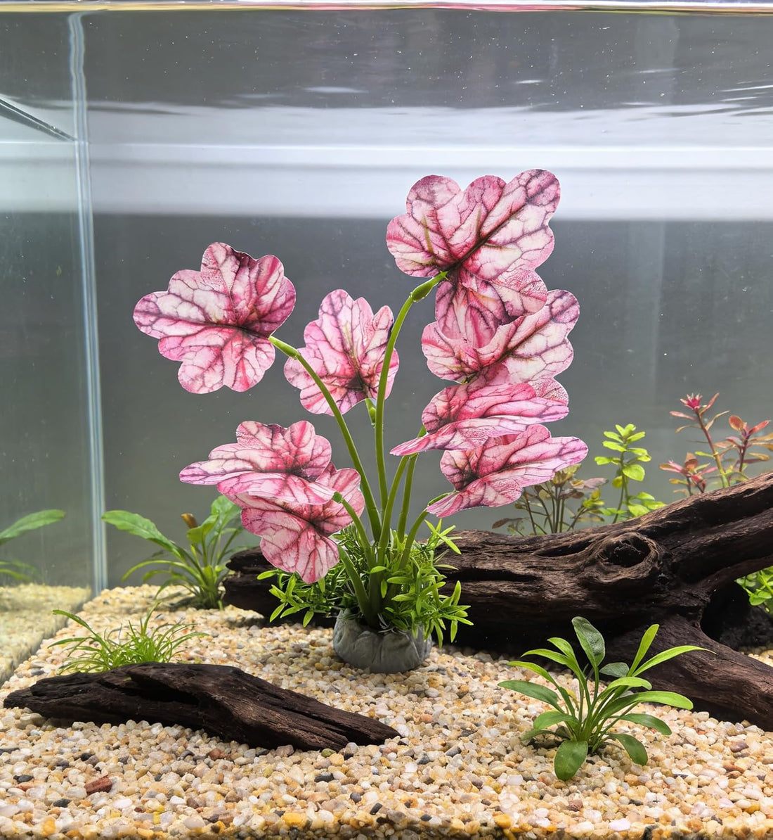 M2cbridge Fish Tank Plastic Soft Grass Artificial Betta Water Plants