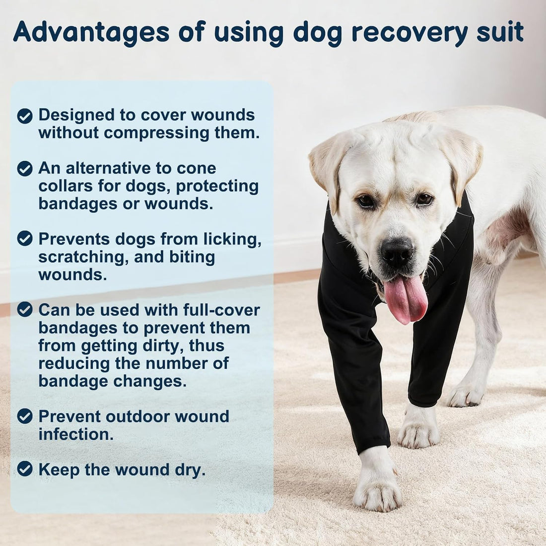 BARKLESS Dog Surgery Recovery Suit for Front Leg