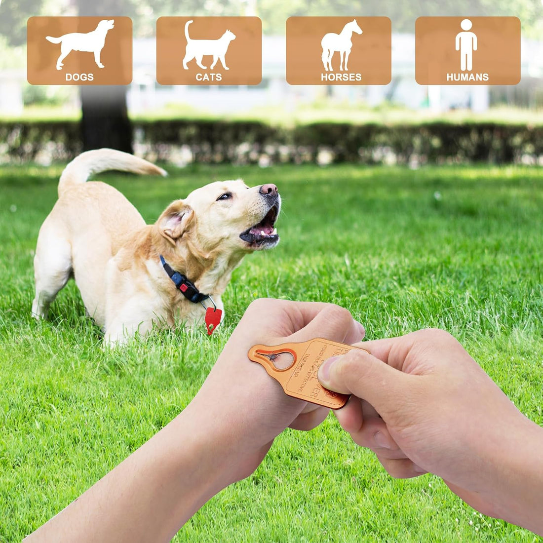 Tick Remover Tool Portable with Tick Removal Tweezers Suitable