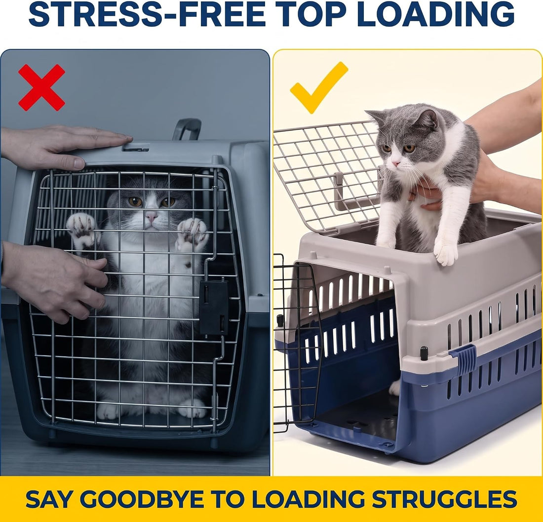 Hard-Sided Pet Carrier for Cats and Small Dogs