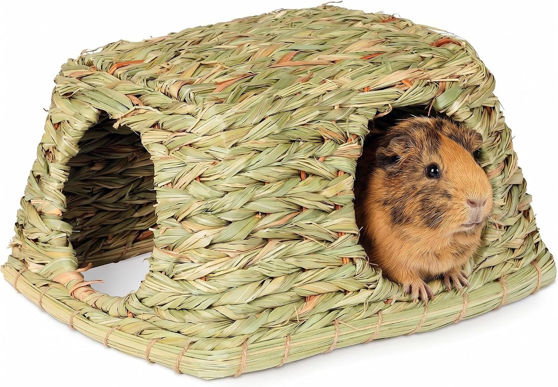 Prevue Pet Products Nature's Hideaway Grass Hut Small Animal Toy