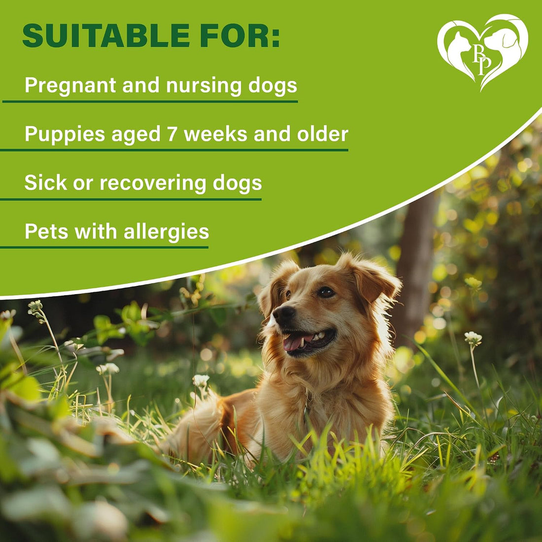 Natural Flea & Tick Collar for Dogs
