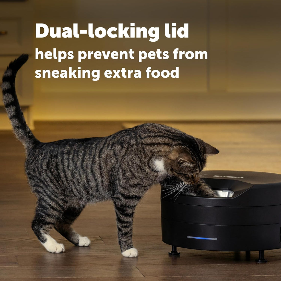 PetSafe FreshFeed Refrigerated Pet Feeder Automatic Wet Food Feeder