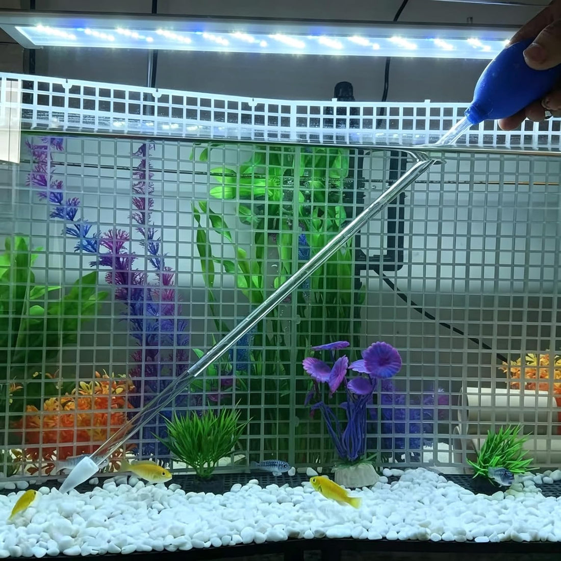 Coral Feeder with Extra-Long 18.5" Tube – Durable Leak-Proof Bulb