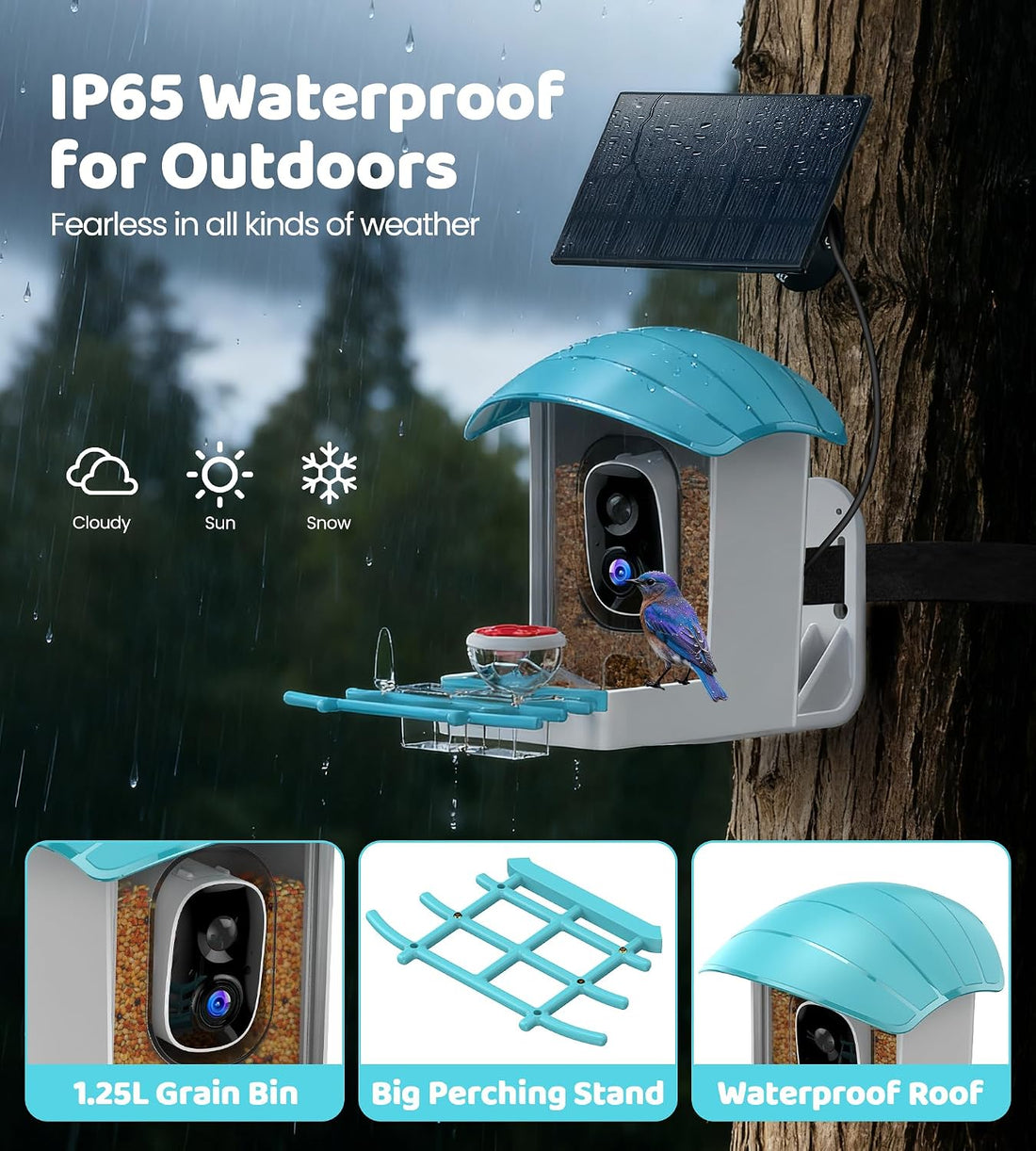Bird Feeder with Camera Solar Powered