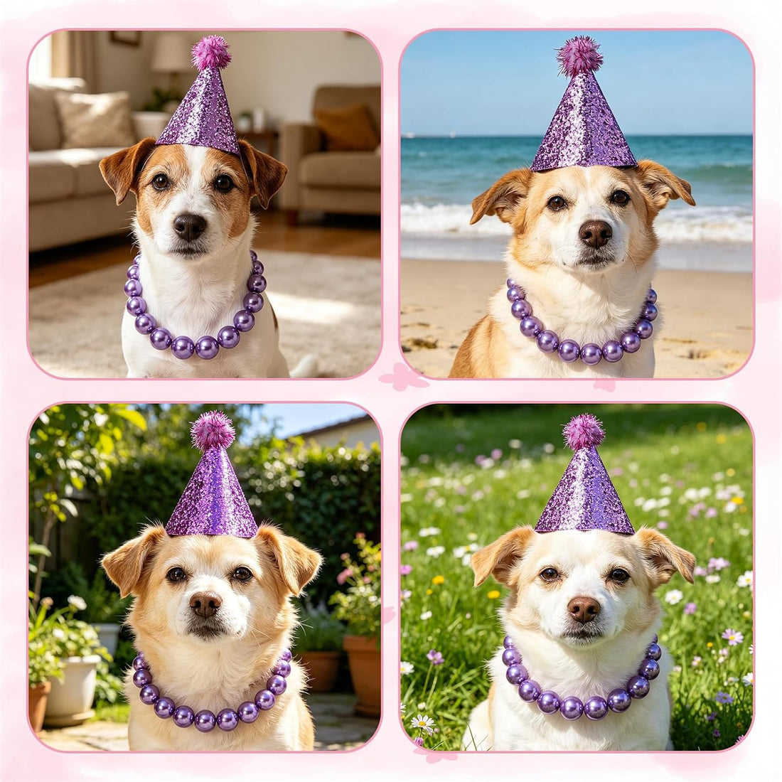 Ornaland Pearl Dog Necklace Collar for Women with Birthday Hat