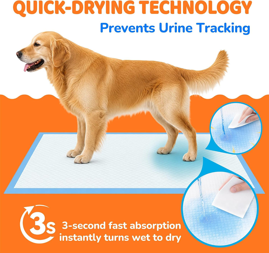 100 Count Puppy Pads 28"x34", Extra Large, Super Absorbent
