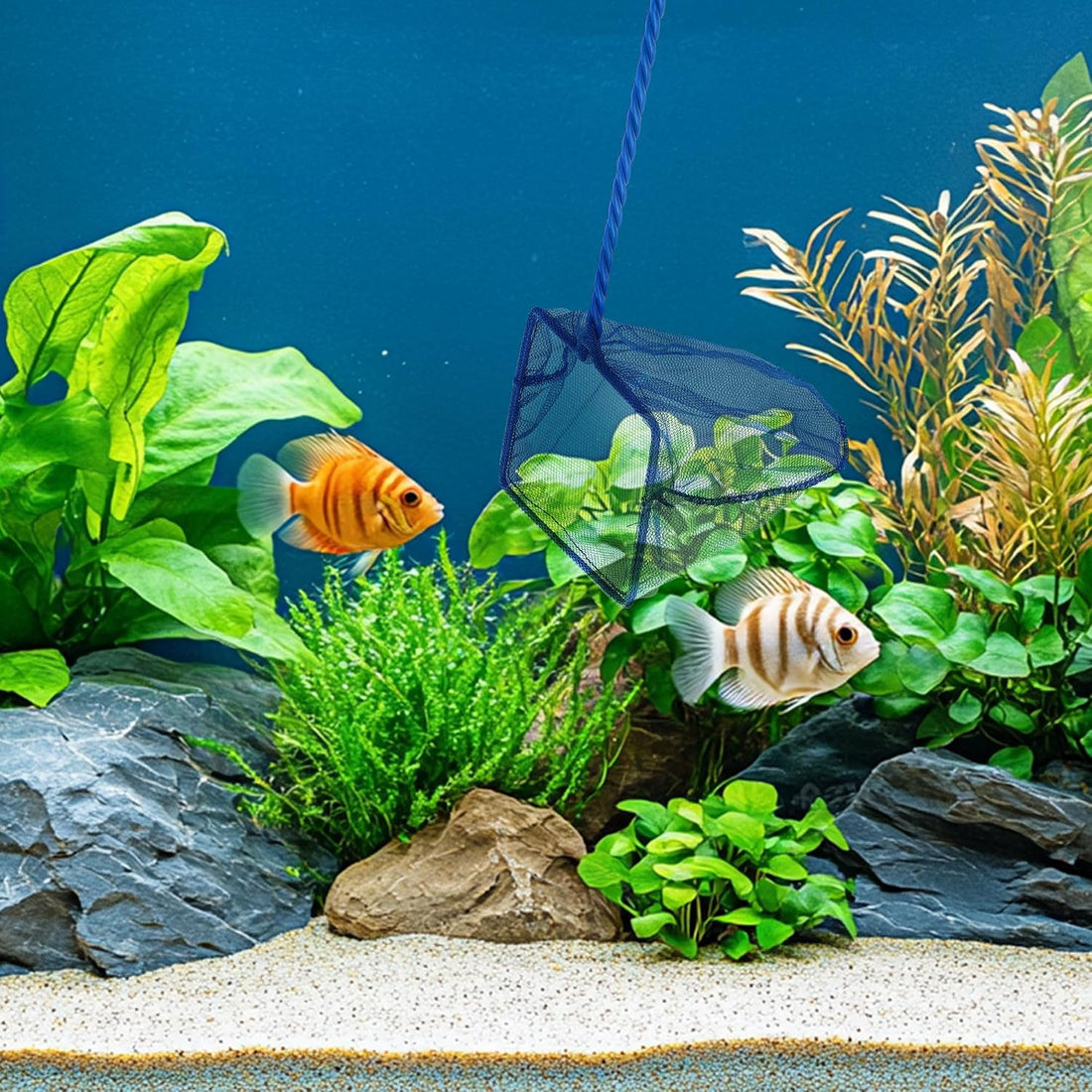 Mogoko 2 Pack Aquarium Net Fish Net Small Net Multi-Size Fine Mesh