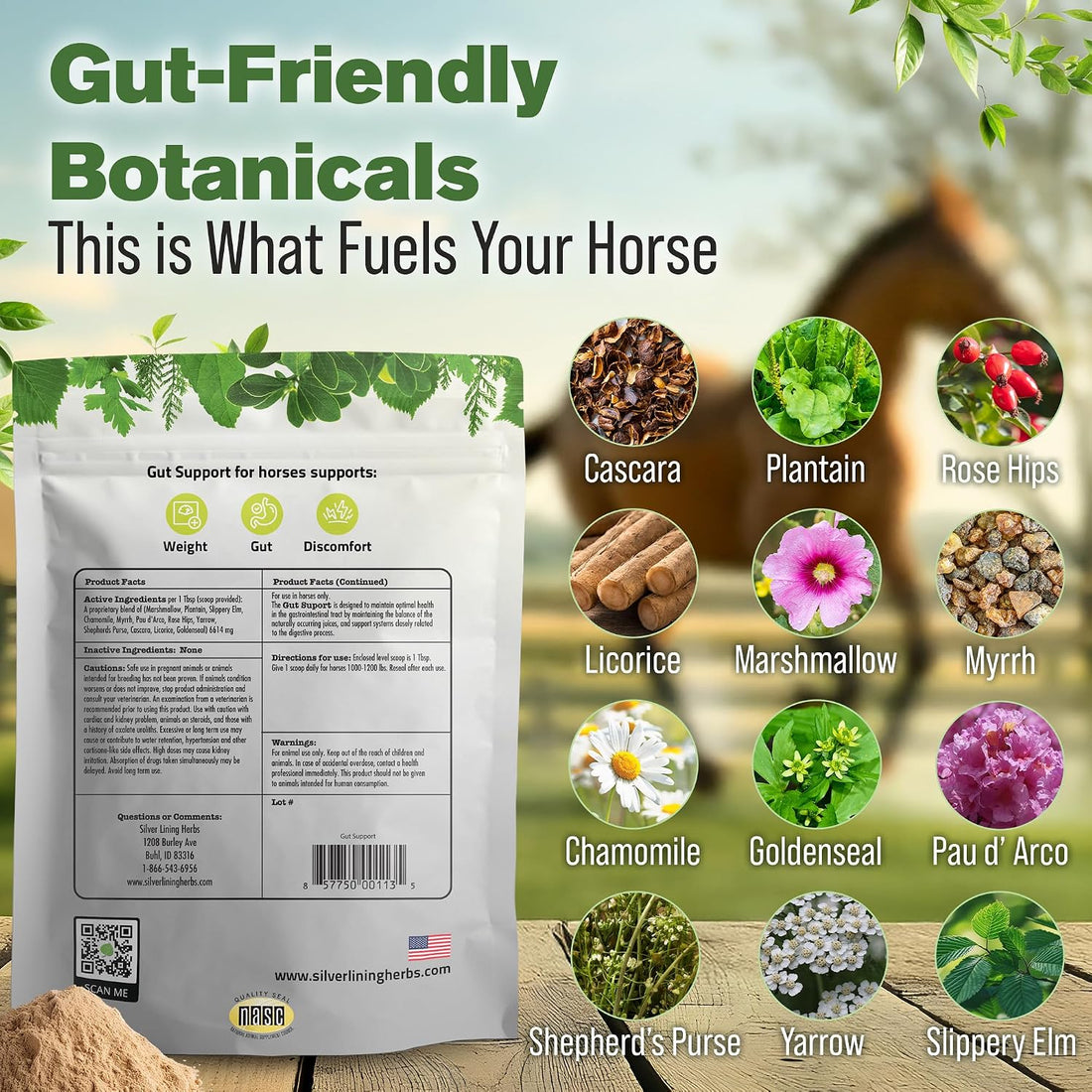Silver Lining Herbs Gut Support Supplement for Horses - 1 lb