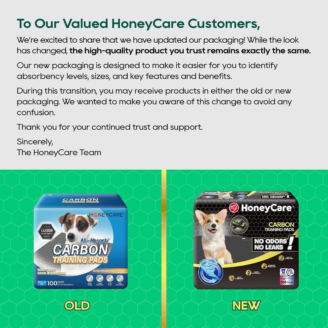 HONEY CARE All-Absorb Puppy Training Pads