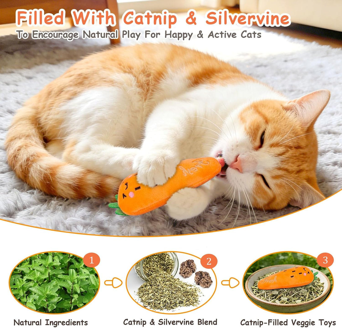 ETEKYER Catnip Cat Toys, 5 Pack