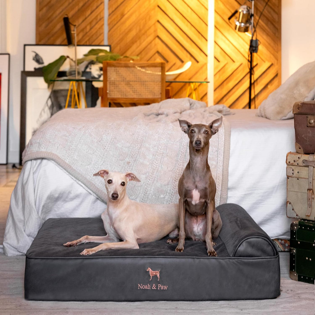 NOAH & PAW Large Dog Bed Orthopedic Memory Foam Cooling Gel 35x25x8.7