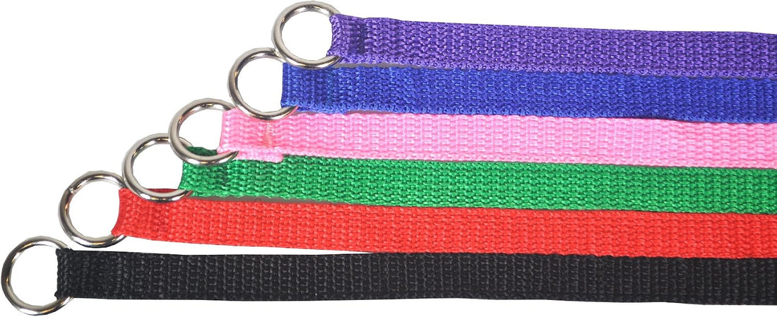 Downtown Pet Supply Slip Lead Dog Leash 6 Pack, 4' x 1/2"