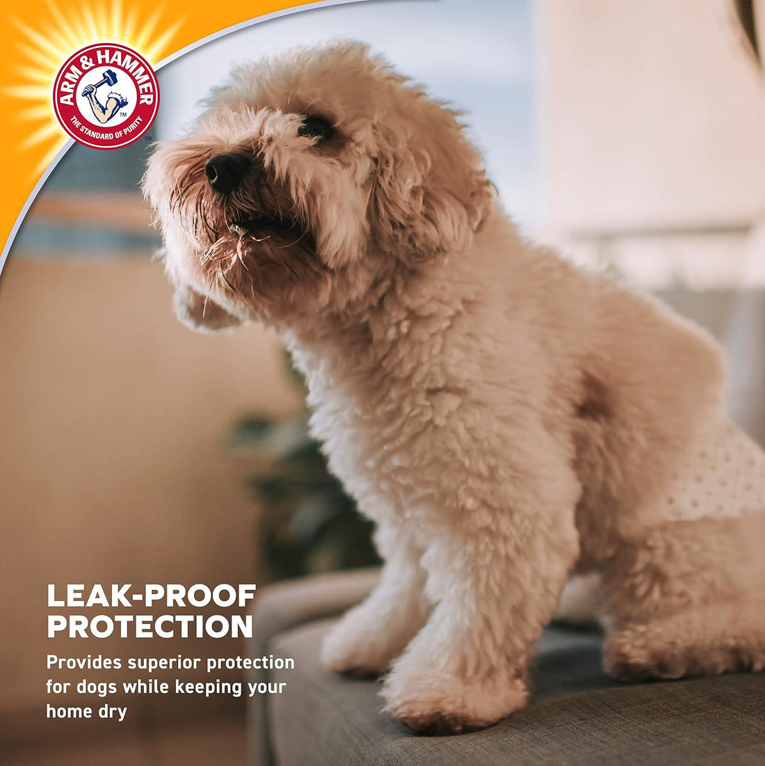 Arm & Hammer Small Male Dog Belly Band Wraps, 12 Count