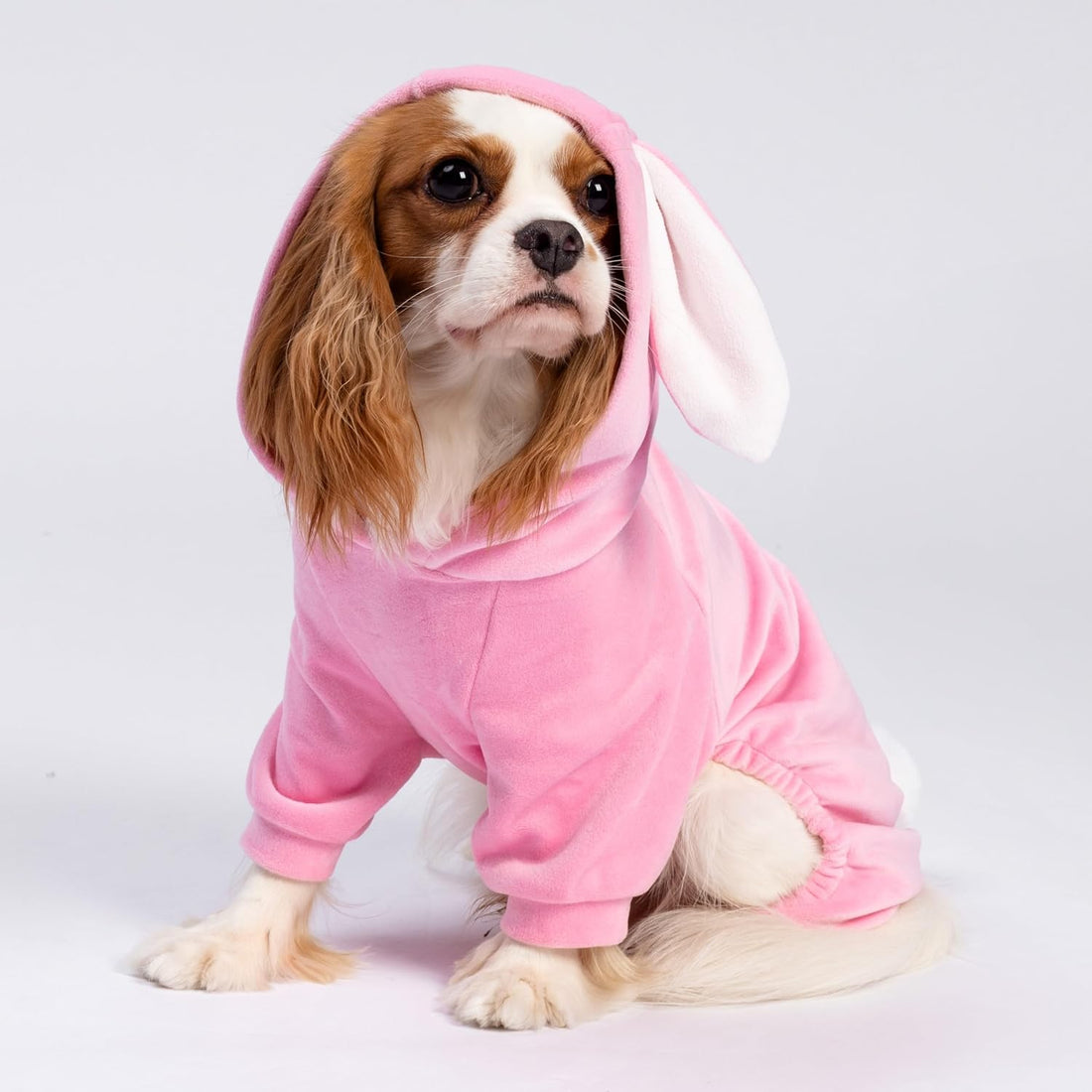 Fitwarm Halloween Sheep Dog Costumes