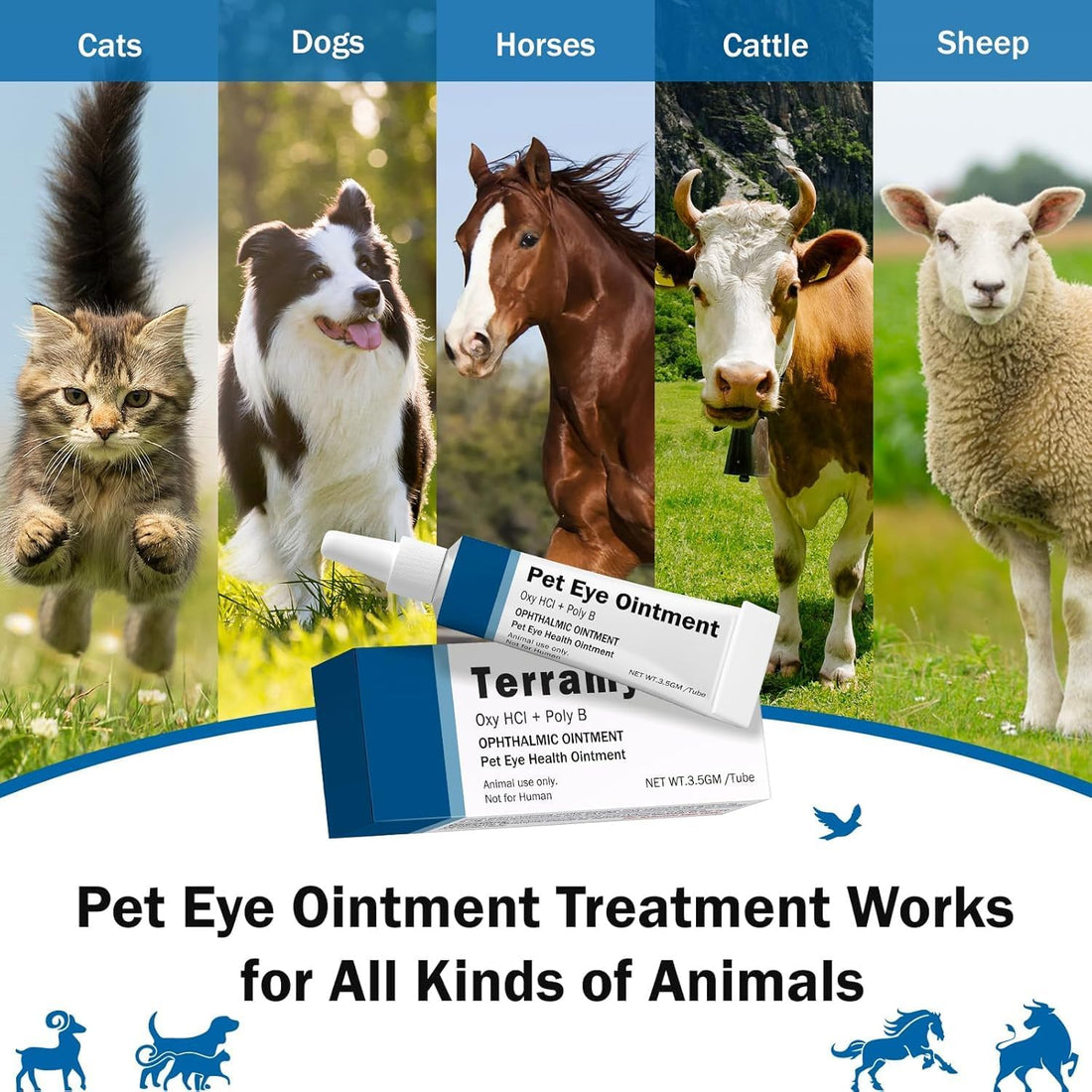 POLKA Terramypol Eye Ointment for Cats and Dogs, Horses, Birds