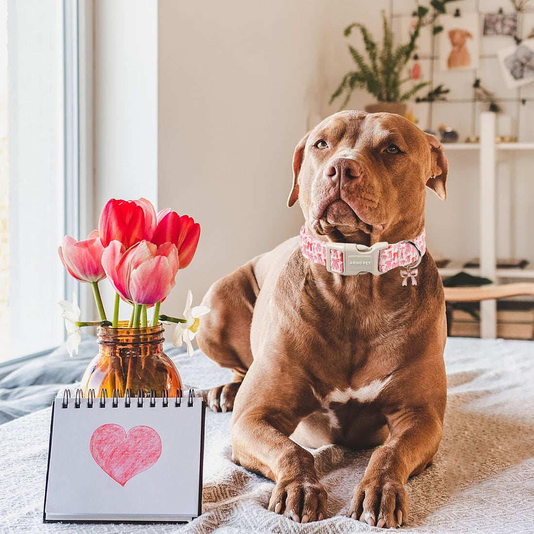ARING PET Girl Dog Collar, Cute Spring Summer Pink Bow Puppy Pet