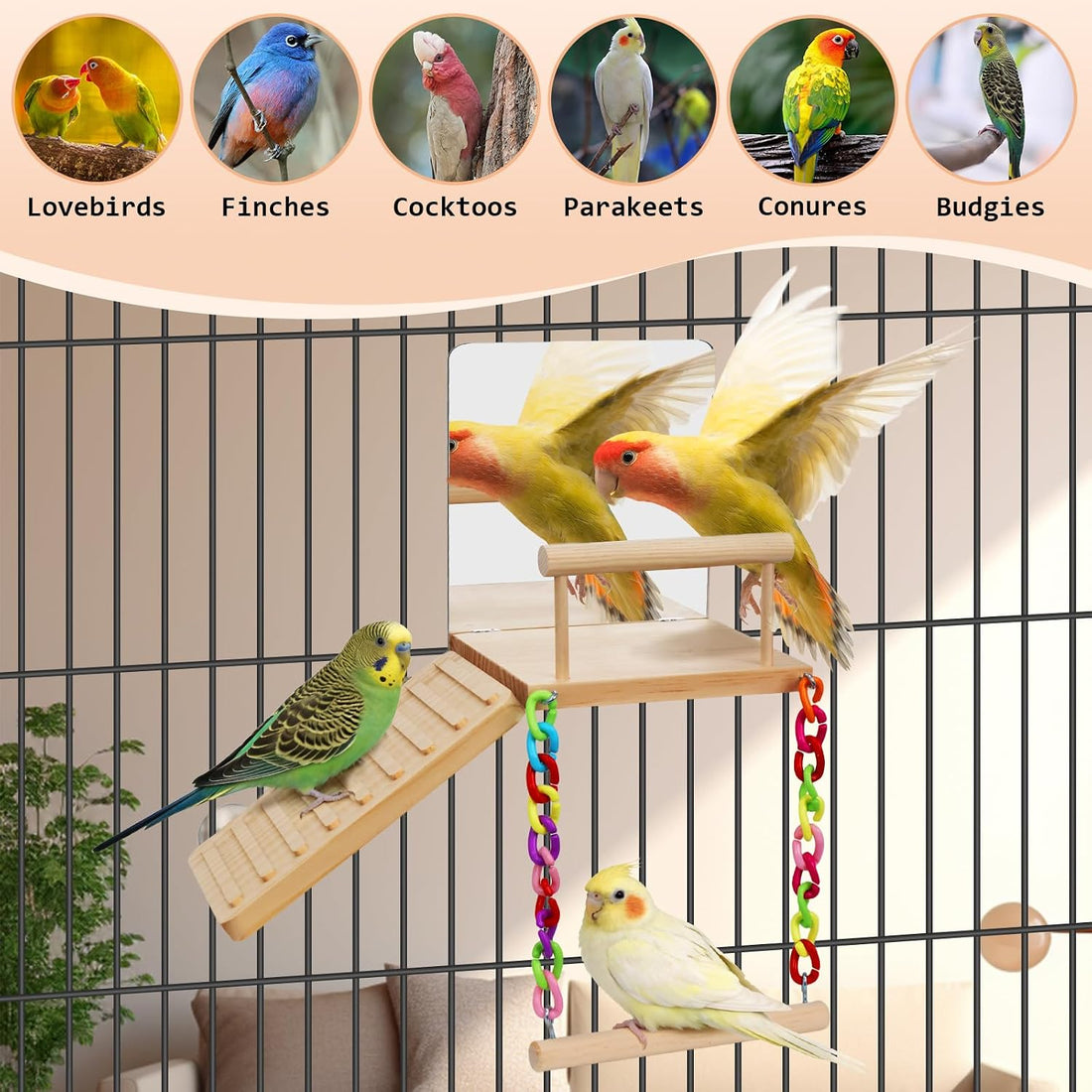 Bird Perches Swing Platform with Bird Mirror Birds Ladder Toys