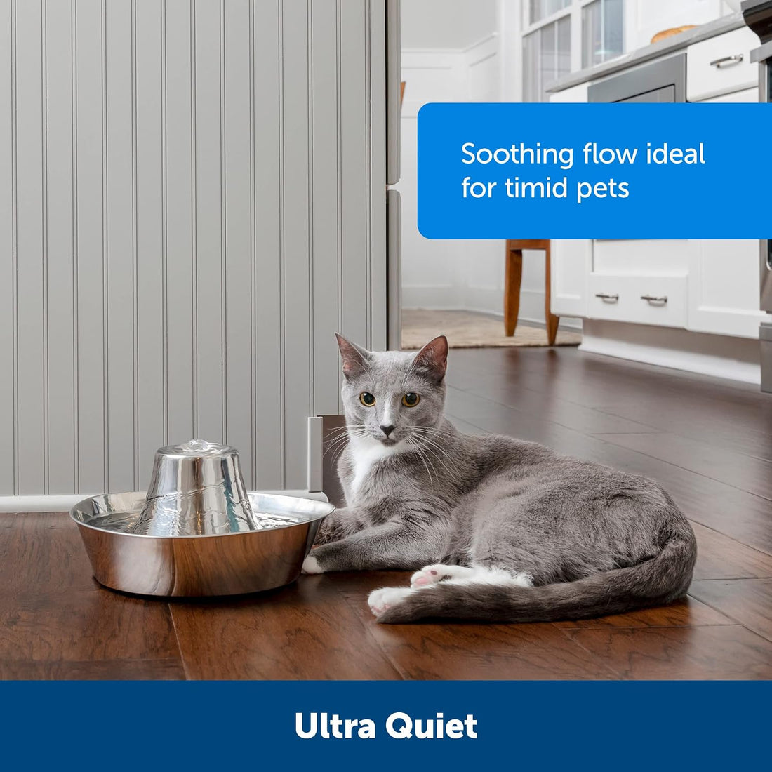 PetSafe Seaside Stainless Steel Cat & Dog Fountain
