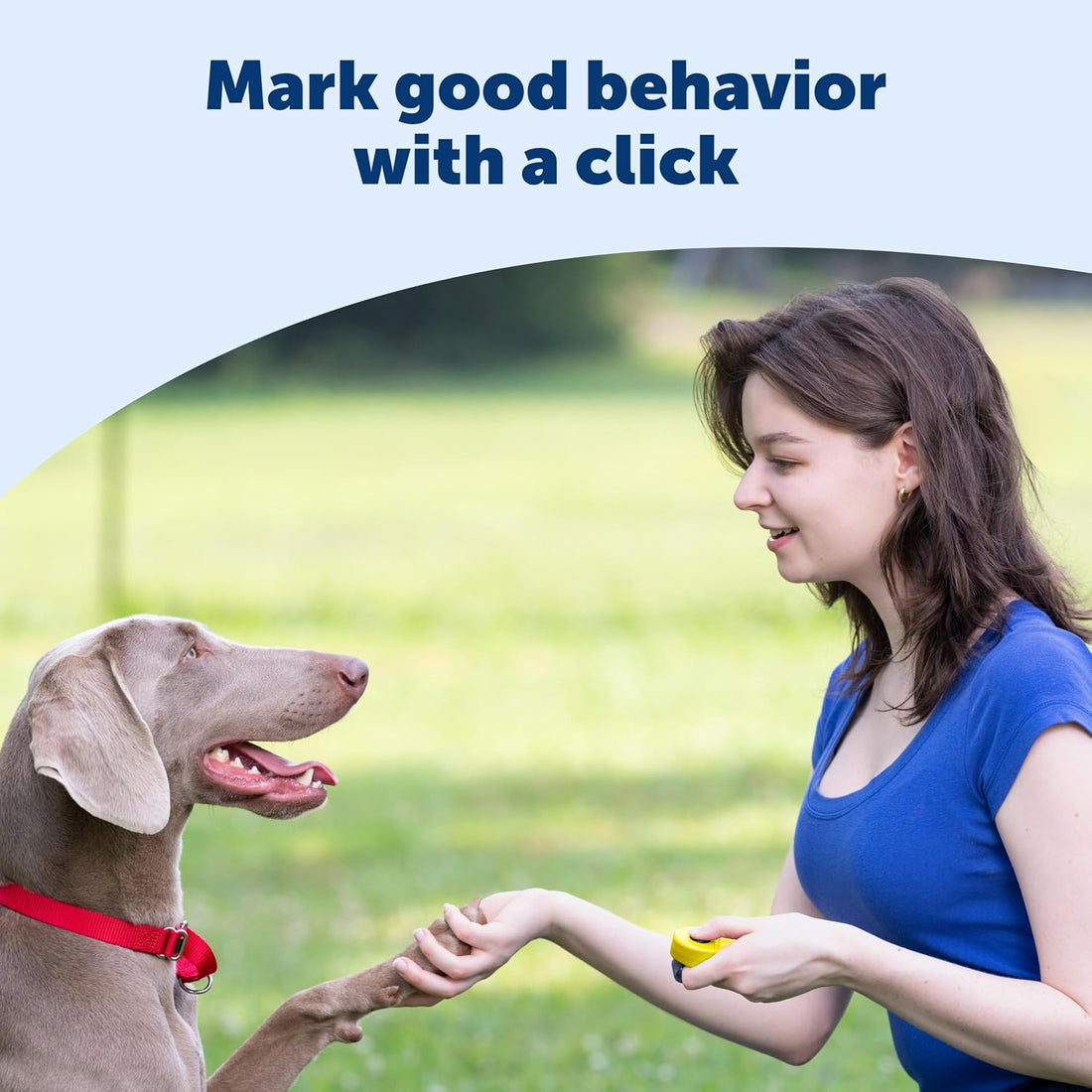 PetSafe Clik-R Dog Training Clicker