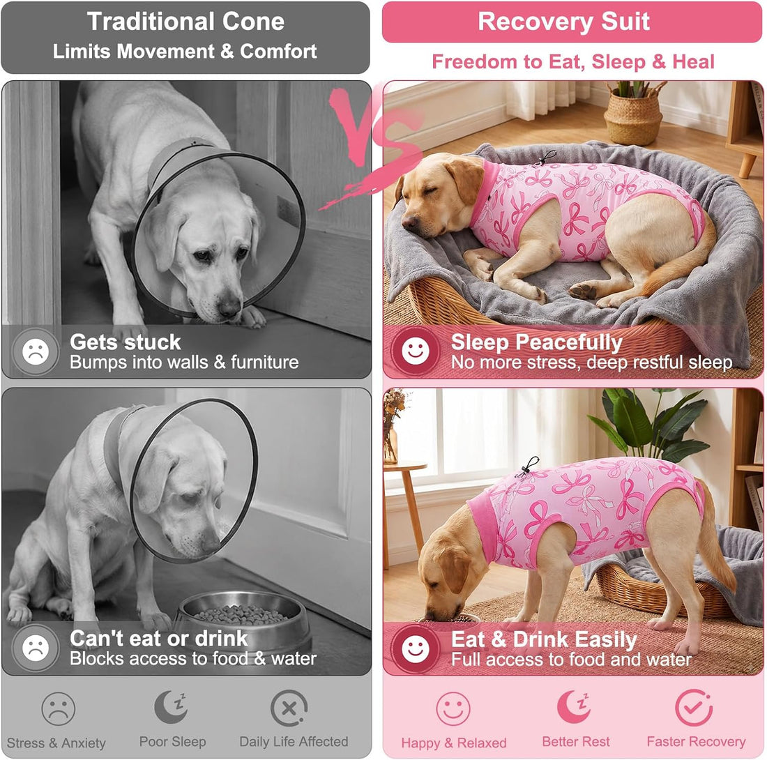 Glittme Dog Surgery Recovery Suit with Breathable Mesh for Female