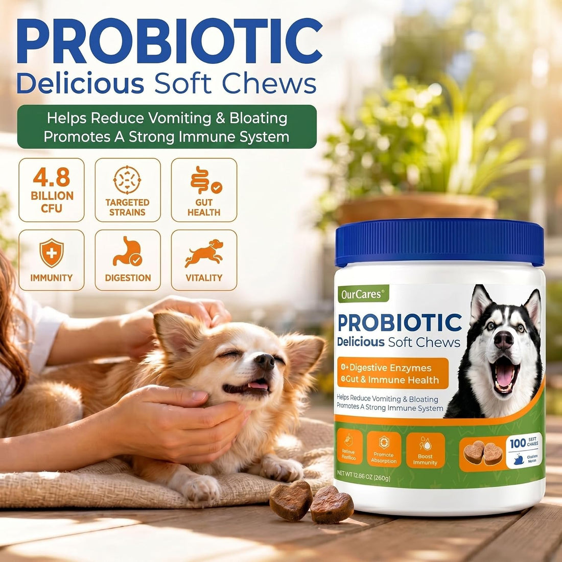 Probiotics for Dogs – Probiotic Chews with 4.8 Billion CFU