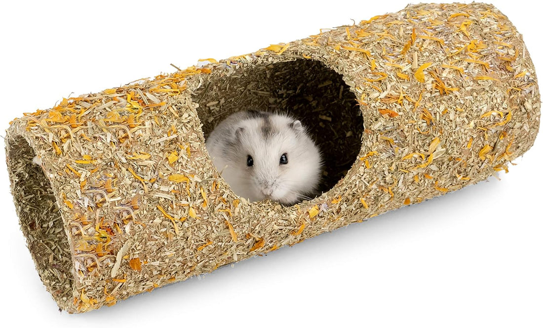 Niteangel Creative & Composable Hamster Tunnel