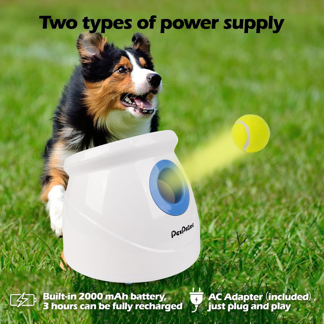 Pet Prime Dog Automatic Ball Launcher for Large Dogs Ball Thrower
