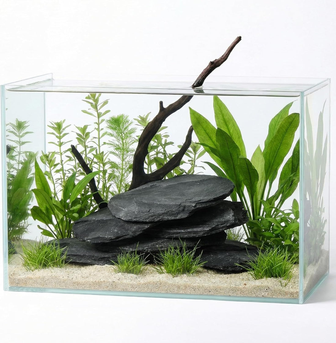 6.1-8.1 Inches Natural Slate Rock